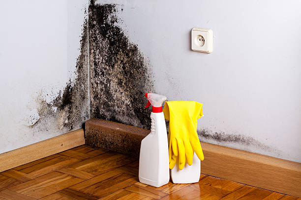 Best Commercial water damage restoration  in Wildwood, NJ